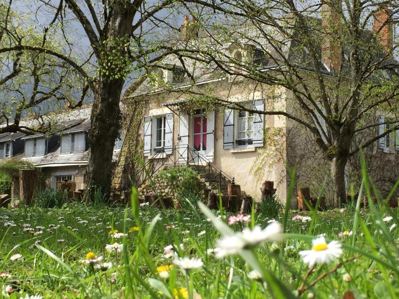 La familiale Vigneronne Bed and Breakfast Chouzy-sur-Cisse Esterno foto